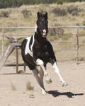 T_Legacy-6318.jpg